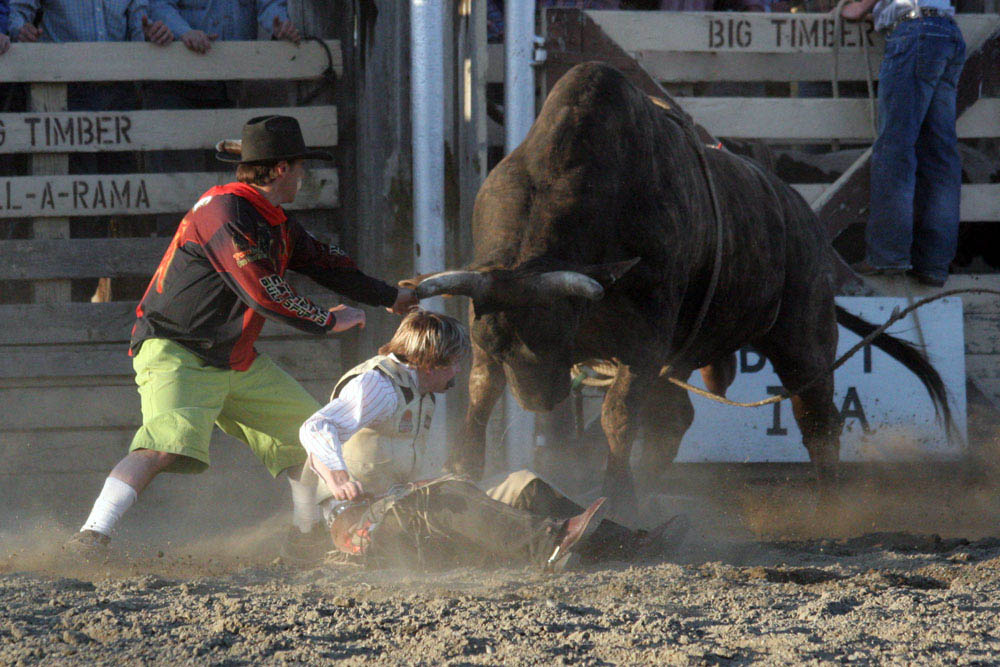 Bull Fight rodeo photo Montana Photographer MT