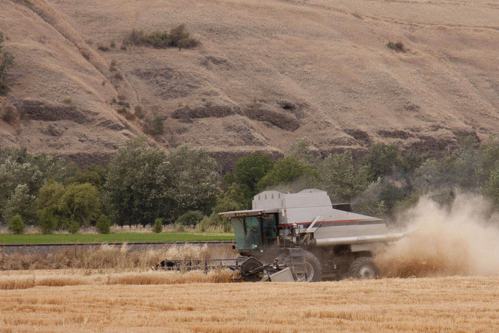 Combine tractor montana photo Montana Photographer MT